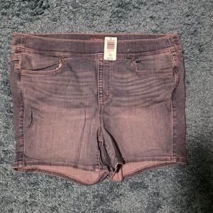 Torrid Denim Shorts